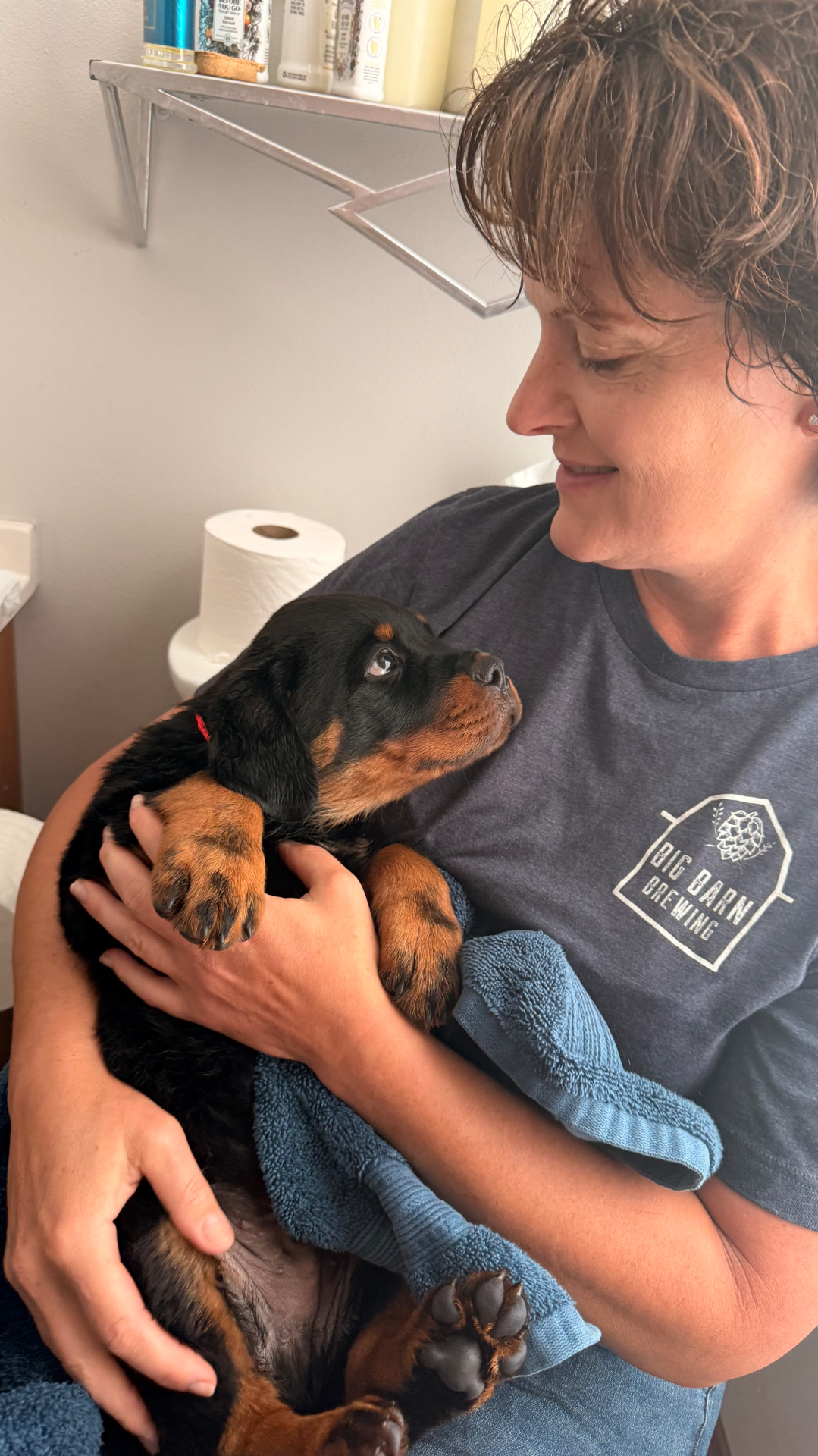 Families — Assisi Kennels Rottweilers