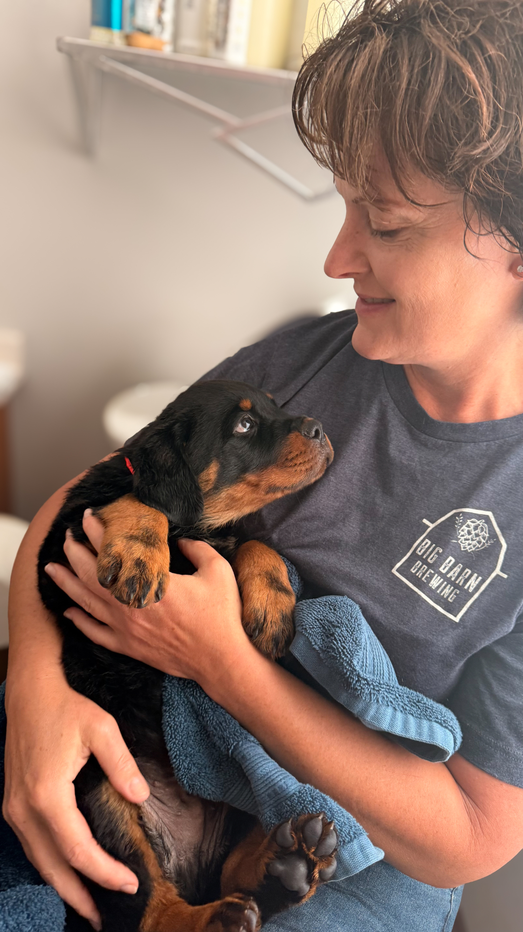 Families — Assisi Kennels Rottweilers